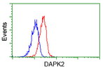 DAPK2 Antibody in Flow Cytometry (Flow)