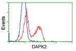 DAPK2 Antibody in Flow Cytometry (Flow)