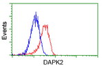 DAPK2 Antibody in Flow Cytometry (Flow)