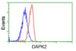 DAPK2 Antibody in Flow Cytometry (Flow)