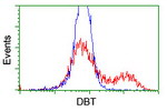 DBT Antibody in Flow Cytometry (Flow)