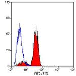 Dectin 1 (soluble) Antibody in Flow Cytometry (Flow)