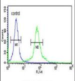 DLG7 Antibody in Flow Cytometry (Flow)