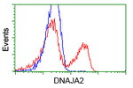 DNAJA2 Antibody in Flow Cytometry (Flow)