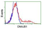 DNAJB1 Antibody in Flow Cytometry (Flow)