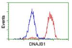 DNAJB1 Antibody in Flow Cytometry (Flow)