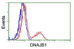 DNAJB1 Antibody in Flow Cytometry (Flow)