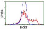 DOK7 Antibody in Flow Cytometry (Flow)