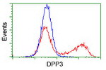 DPP3 Antibody in Flow Cytometry (Flow)
