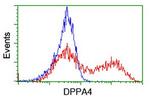 DPPA4 Antibody in Flow Cytometry (Flow)