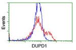 DUPD1 Antibody in Flow Cytometry (Flow)