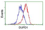 DUPD1 Antibody in Flow Cytometry (Flow)