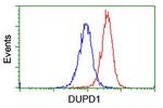 DUPD1 Antibody in Flow Cytometry (Flow)