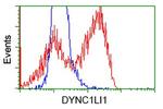 DYNC1LI1 Antibody in Flow Cytometry (Flow)