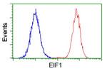 EIF1 Antibody in Flow Cytometry (Flow)