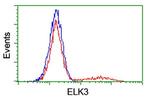 ELK3 Antibody in Flow Cytometry (Flow)