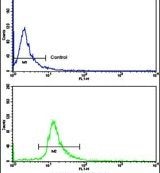 ELP2 Antibody in Flow Cytometry (Flow)