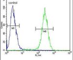 ENSA Antibody in Flow Cytometry (Flow)