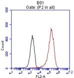 EPCAM Antibody in Flow Cytometry (Flow)