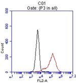 EPCAM Antibody in Flow Cytometry (Flow)