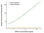 EPHX1 Antibody in Luminex (LUM)