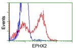 EPHX2 Antibody in Flow Cytometry (Flow)