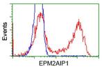 EPM2AIP1 Antibody in Flow Cytometry (Flow)