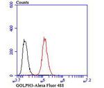 GOLPH3 Antibody in Flow Cytometry (Flow)