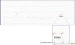 ERBB2 Antibody in Peptide array (ARRAY)