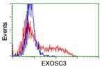 EXOSC3 Antibody in Flow Cytometry (Flow)