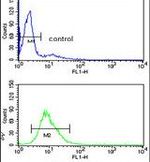 EXOSC8 Antibody in Flow Cytometry (Flow)