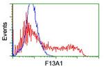 F13A1 Antibody in Flow Cytometry (Flow)