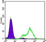 FABP2 Antibody in Flow Cytometry (Flow)