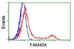 FAM40A Antibody in Flow Cytometry (Flow)