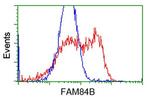 FAM84B Antibody in Flow Cytometry (Flow)