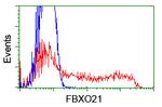 FBXO21 Antibody in Flow Cytometry (Flow)