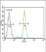 FER Antibody in Flow Cytometry (Flow)