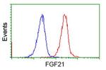 FGF21 Antibody in Flow Cytometry (Flow)