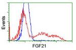 FGF21 Antibody in Flow Cytometry (Flow)