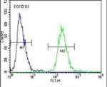 FIBB Antibody in Flow Cytometry (Flow)