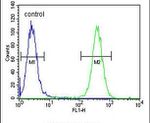 FKBP10 Antibody in Flow Cytometry (Flow)