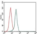 Fibronectin Antibody in Flow Cytometry (Flow)