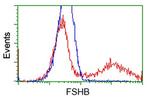 FSHB Antibody in Flow Cytometry (Flow)