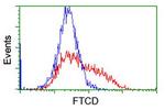 FTCD Antibody in Flow Cytometry (Flow)
