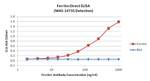 Ferritin Antibody in ELISA (ELISA)