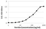 Ferritin Antibody in ELISA (ELISA)