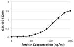 Ferritin Antibody in ELISA (ELISA)