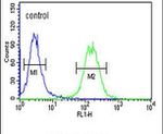 GALR1 Antibody in Flow Cytometry (Flow)