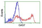 GAS7 Antibody in Flow Cytometry (Flow)