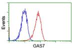 GAS7 Antibody in Flow Cytometry (Flow)